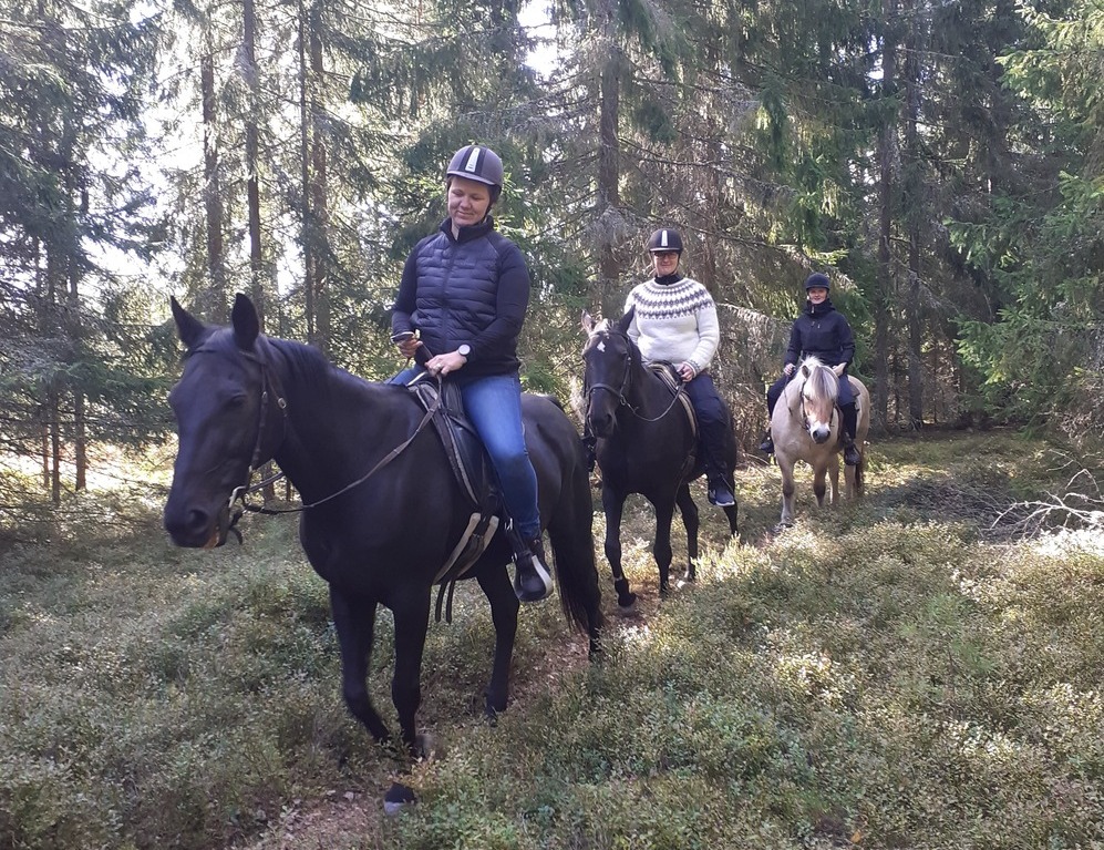 ladies riding vaaleampi crop