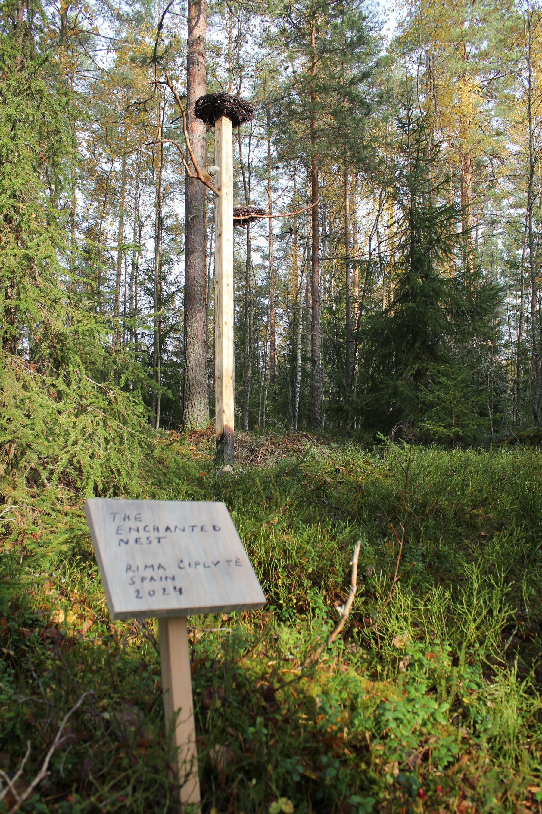 Artist Opening - Magic Forest - IMG_8404