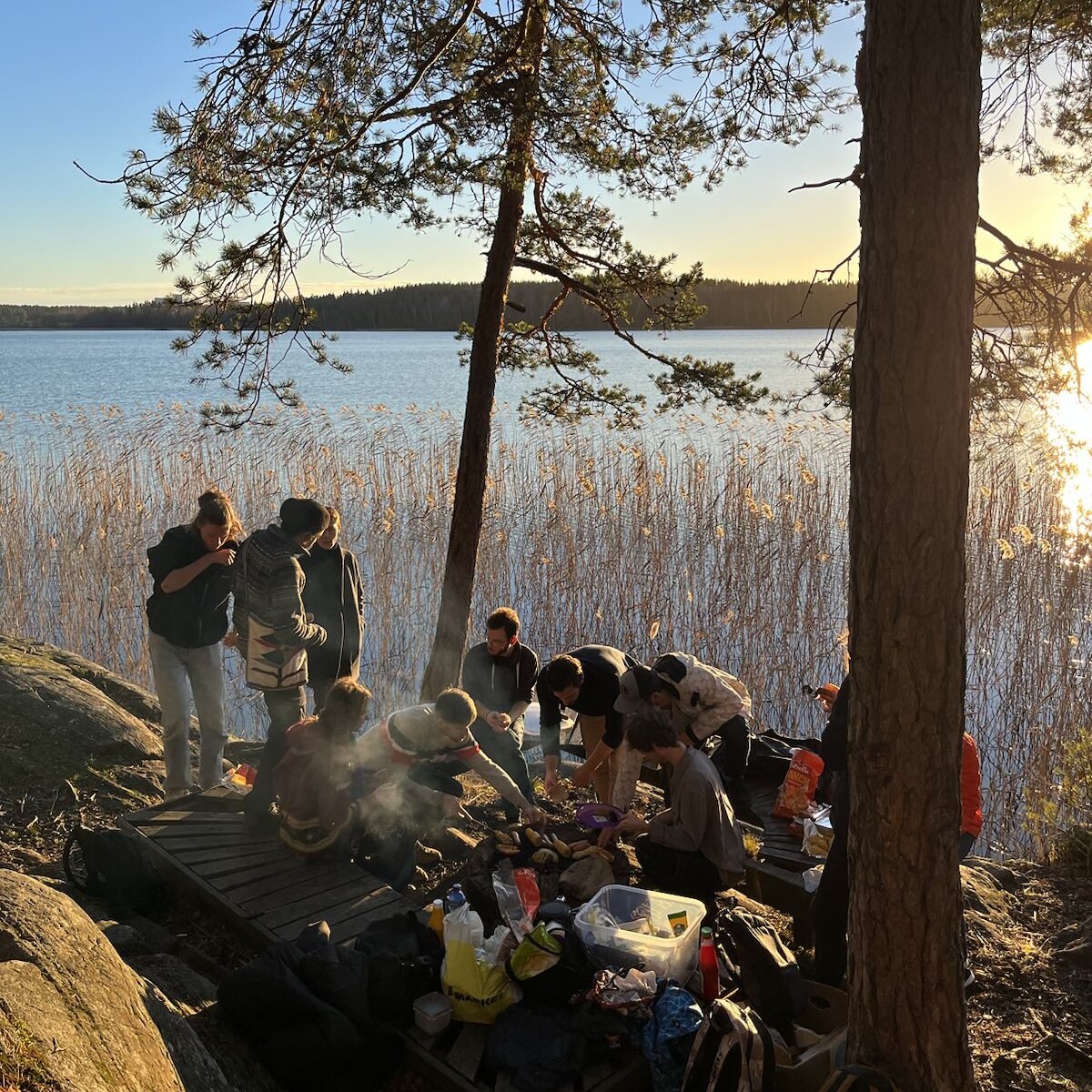 VolunteersHubFeenix