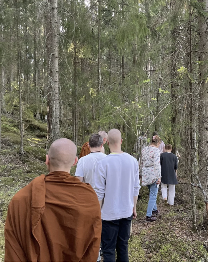 Dhamma ry:n Meditaatioretriitti