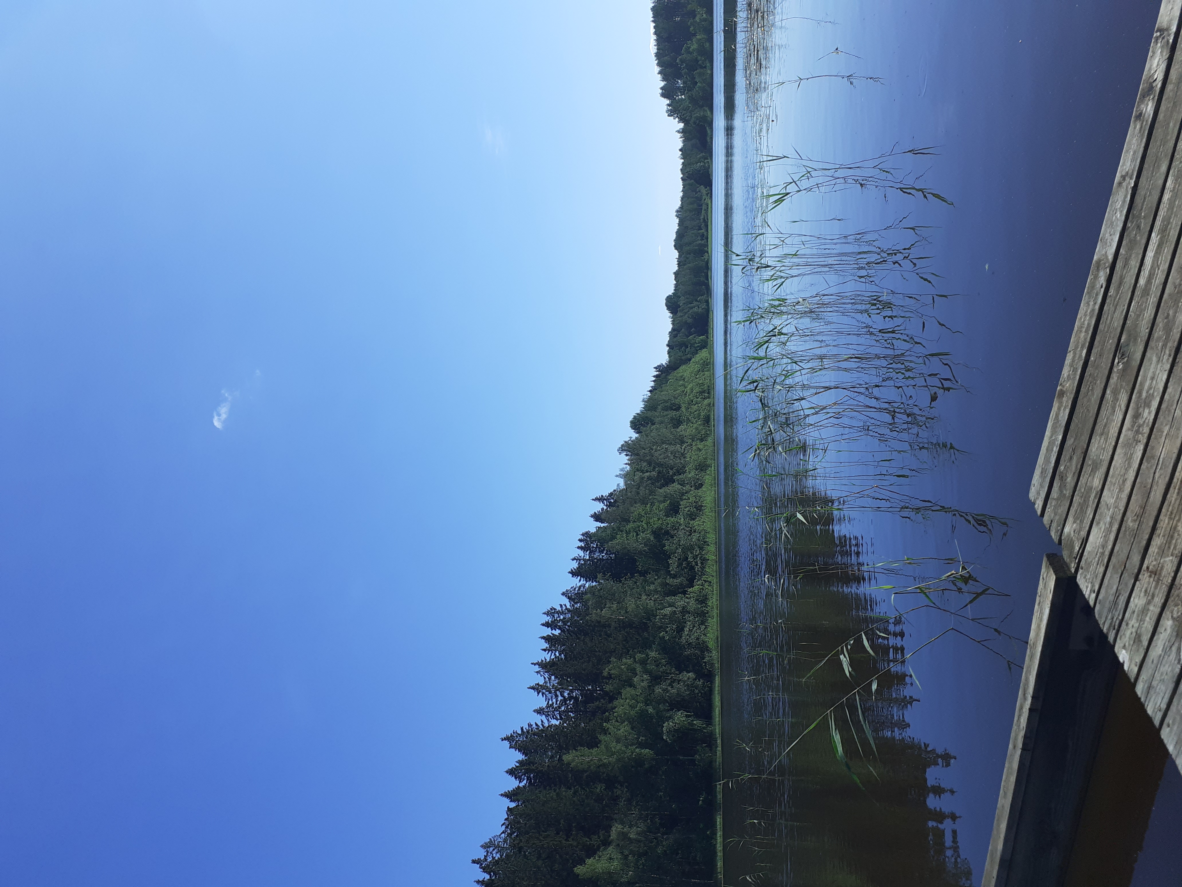 Hanna Liikka: Kesän taikaa -joogaretriitti