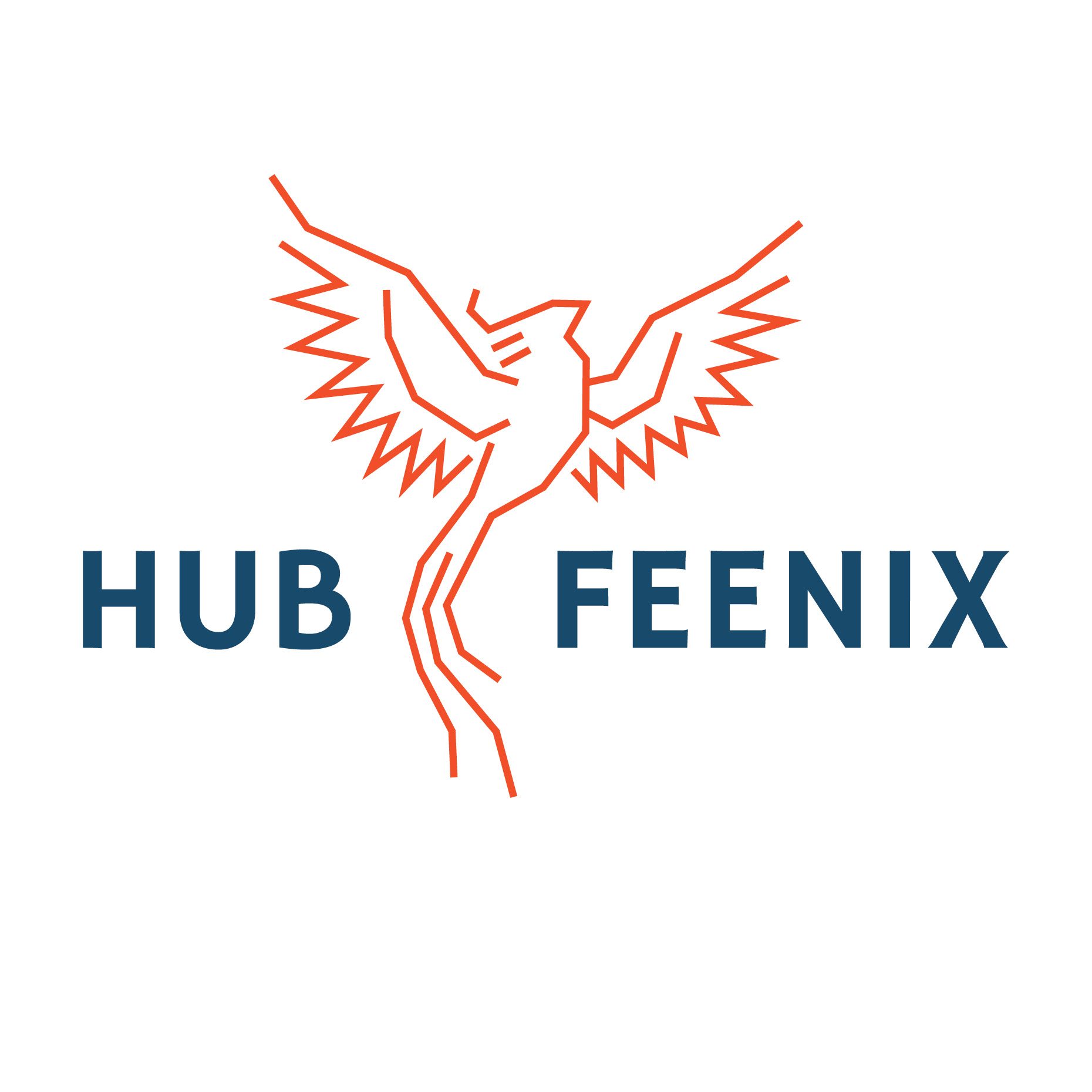 Hub Feenix